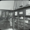 Morrisania Branch, boys looking at exhibit in Morrisania Children's room, Apr. 25, 1911