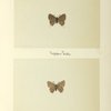 Ihecla poeas (upper side; under side).