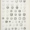 Front views of Heads of Caterpillars at different Stages. -- Papilioninae, Hesperidae.