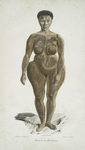 [Espèce humaine] Femme de race Bochismann, [de face]