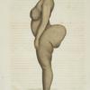 [Espèce humaine] Femme de race Bochismann, [de profil]