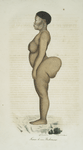 [Espèce humaine] Femme de race Bochismann, [de profil]