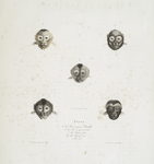 [Quadrumanes] Tètes de Sapajous (1. du Saï à gorge blanche, 2. du Saï à grosse tète, 3. du Sajou gris, 4. Du Sajou brun, 5. du Saï)