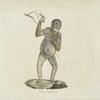 [Quadrumanes] Orang-outang, femelle