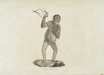 [Quadrumanes] Orang-outang, femelle