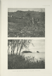 Haunts and roosting islands of the Javan Junglefowl.