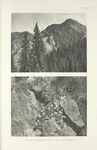 Western Himalayan home of the Cheer Pheasants.