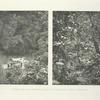 Jungle home and drinking place of the Malayan Argus Pheasant.