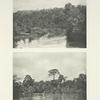 Drinking place and lookout of Green Peafowl in Pahang.