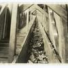 Coal bituminous : cable retarding conveyor lowering coal down the mountain side from mine to tipple