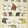 Fig. 1-28, see Notes