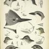 Fig. 1-30, see Notes