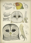 Fig. 1- 11, see Notes