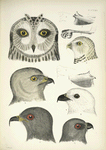 Fig. 1-11, see Notes