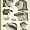 Fig. 1-10, see Notes