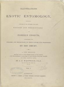 Illustrations of exotic entomology, containing upwards of six hundred and fifty figures and descriptions of foreign insects, interspersed with remarks and reflections on their nature and properties