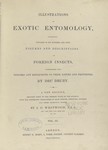 Illustrations of exotic entomology...