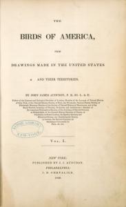 The birds of America, from drawings made in the United States and their territories