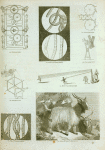 Silk spinning; Wool: fibers, cashmere goat, combing machine.