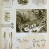 Hat-making: grass, straw plaits, dyeing, hat felting machine; Footwear : animals yielding the original chamois leather, Roman sandels, boots of the reigns of Henry VI and Charles I.