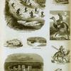 Transportation and vehicles: skiing, dog and wagon, reindeer and sled, dog sleds, ostrich, caravan of bulls, dromedary, ancient Egyptian palanquin.