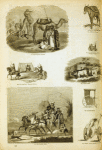 Transportation and vehicles: camels, donkey and oxen of the Middle East; two horse litter of fourteenth century Europe; carts and chariots of France, Italy and Pompei.