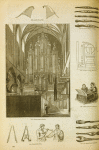 Musical instruments of various periods: harps, organs and virginal, wind instruments.