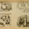 Portions of the Parthenon sculptures, on a larger scale; sculptures in the Piazzi of Monte Cavallo, Rome.