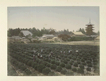 Tea-Yard at Uzi, Yamashiro