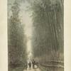 Bamboo Grove, Kioto