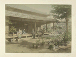 Tea House Garden at Tokyo