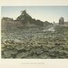 View of Tokio Castle Wall & Lotus Flower