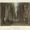 View of Imaichi, at Nikko Road