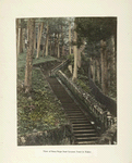 View of Stone-Steps from Iyeyasu Tomb in  Nikko