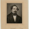 Badiali