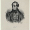Bellini