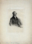 Bellini