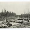 Logs in Stillwater River near Olney, Montana