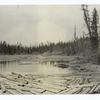 Log drive on state land near Olney, Montana