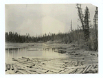 Log drive on state land near Olney, Montana