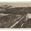 A sawmill in the Longleaf pine region