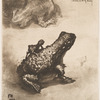 Crapaud bronze.