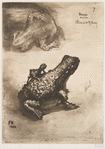 Crapaud bronze.