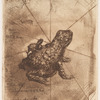 Crapaud bronze (1st version).