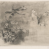 Ex-libris : Papillon et libellule.