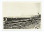 Stack yards, McCloud Lumber Co., McCloud, Calif.