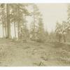 Skidding the logs on the Plumas National Forest, California. Shows cable and choker on end of log. Six-horse team standing at donkey the snake logs from donkey in chute to landing at steam loader on logging railroad.