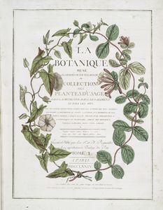 botanique mise à la porteé de tout le monde; ou, Collection des plantes d'usage dans la médecine, dans les alimens et dans les arts.