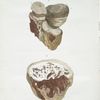 L'Agaric, ou, Mêleze.