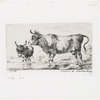 La vache et l'ânon.
